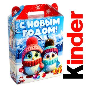 Детский подарок на Новый Год в жестяной упаковке весом 830 грамм по цене 3297 руб в Иркутске